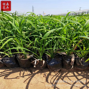 ����� ��������� �@�־G�����^�ݻ� ���^�G���������^����