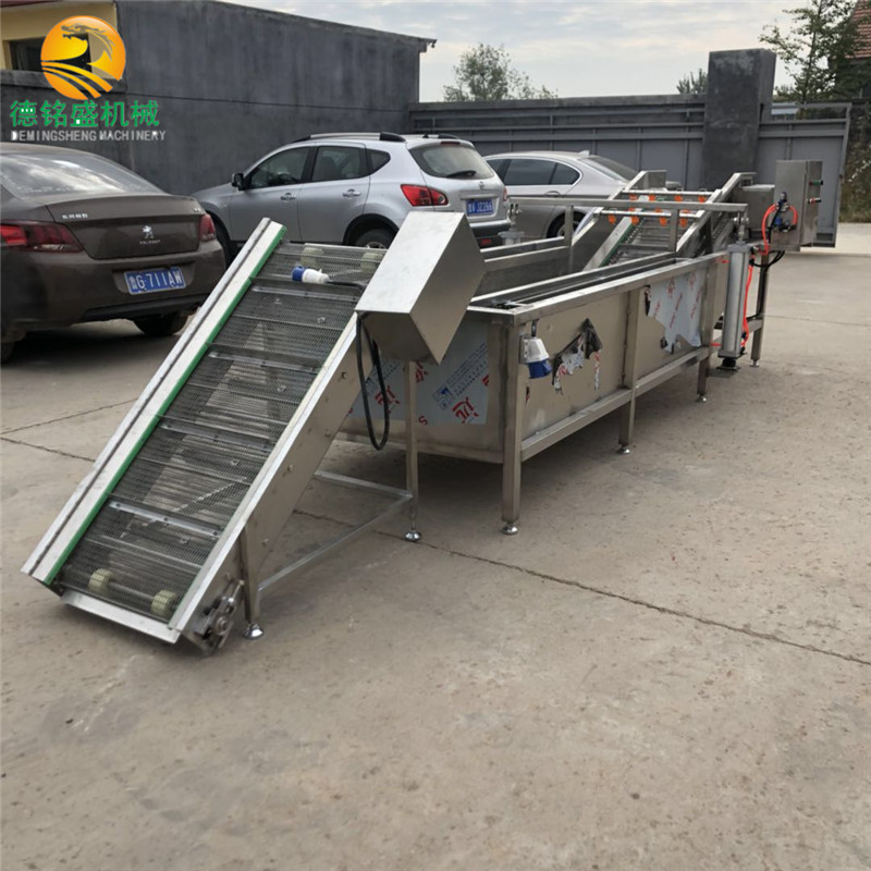 工厂出售果蔬清洗设备 成套加工大枣气泡清洗机 葡萄喷淋式清洗机