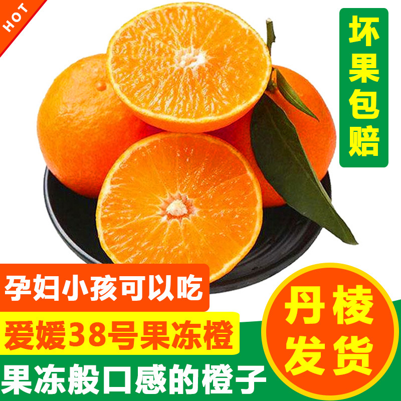 正宗果冻橙 爱媛 38号整箱现摘现发新鲜10斤水果特级橙子橘子桔子