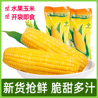Guangxi fruit Sweet corn stick Manufactor Place of Origin precooked and ready to be eaten vacuum Tender corn Coarse grains