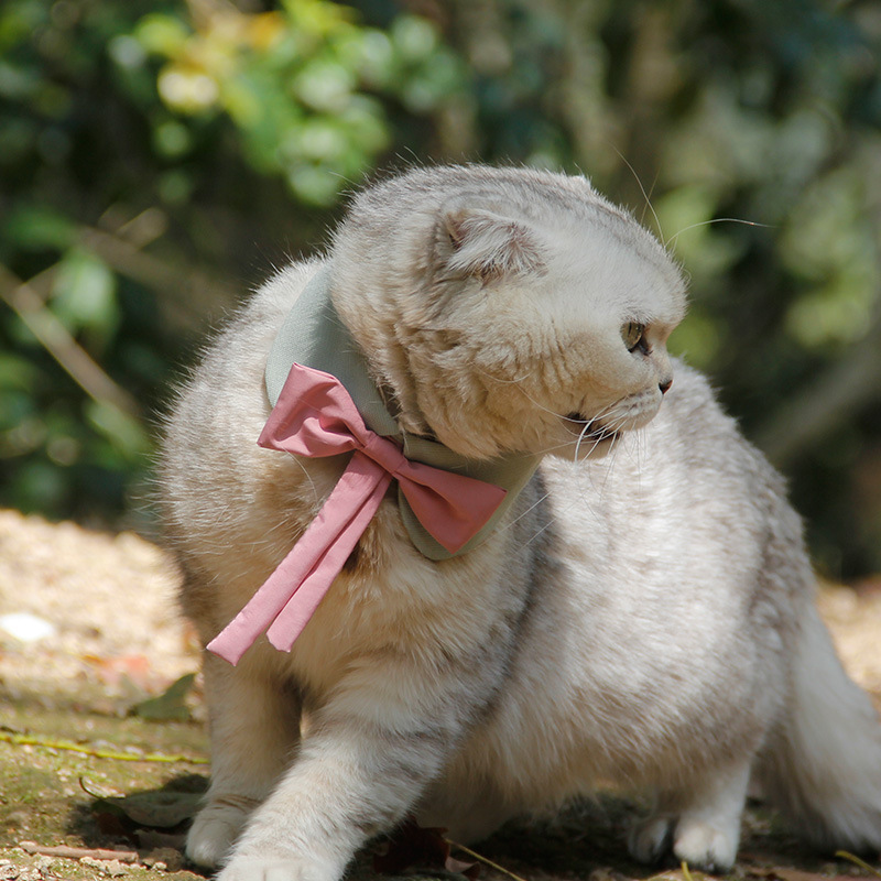 Ji Zi Zai British style pet dog bow tie teddy puppies collar cat bow tie cat neck jewelry 3