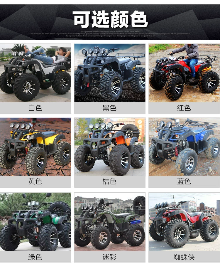 [Большегрузный вездеход для пляжа 125cc-350cc ATV квадроцикл для езды по пересечённой местности]