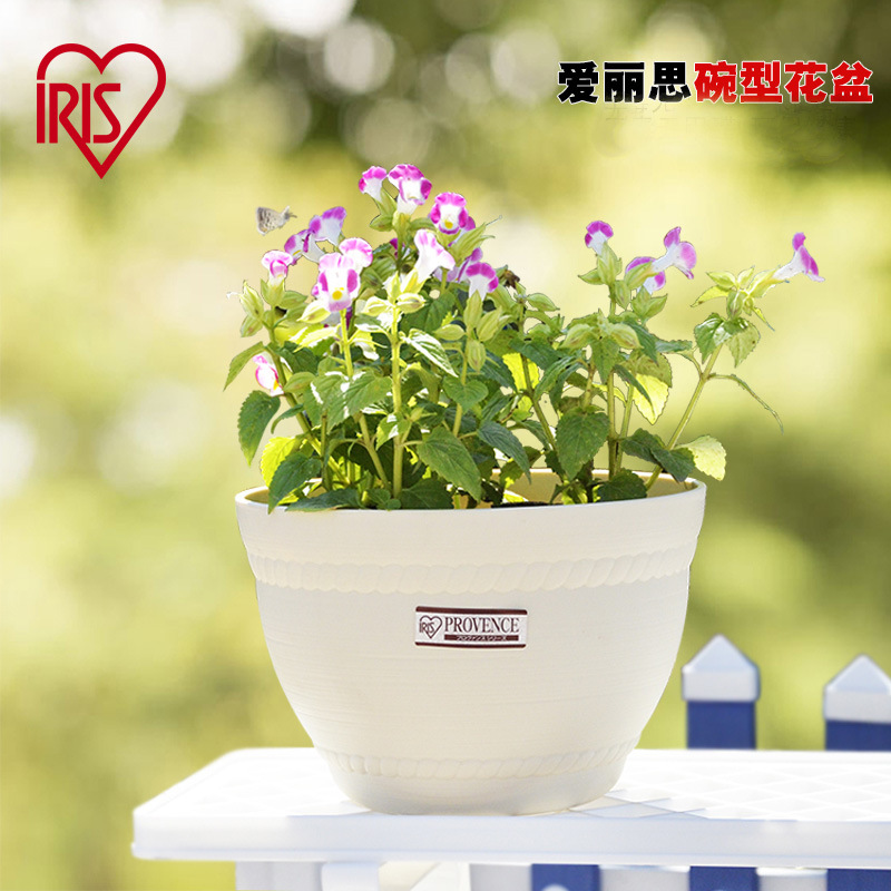 爱丽思碗形加厚花盆树脂多肉植物组合盆栽阳台种绿萝简约大花盆 阿里巴巴