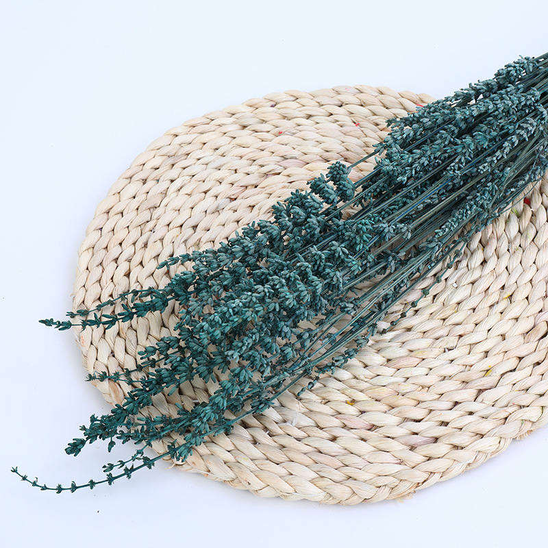 93917ec8a7b7e518328d78b130bb25