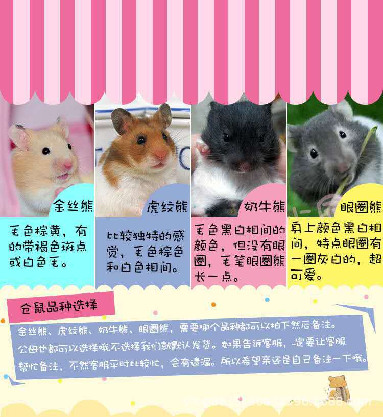 4d2413e5e41d48a1a4b84eeba208ed