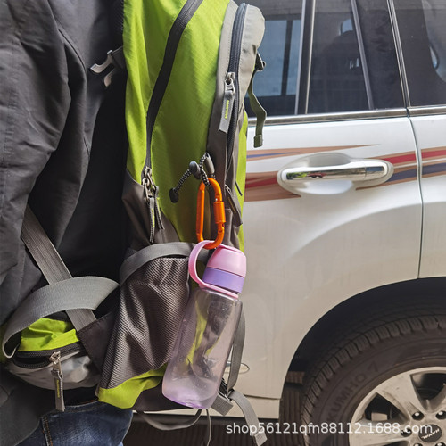 Outdoor aluminum alloy D-type quick-hook travel camping carabiner equipment camping carabiner large hanging buckle