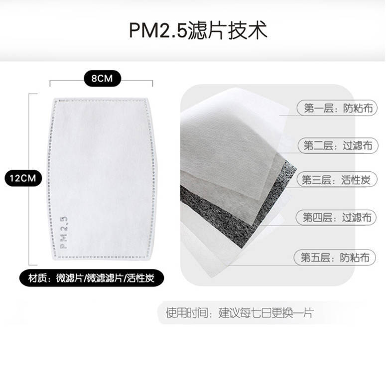 PM2.5 过滤片8