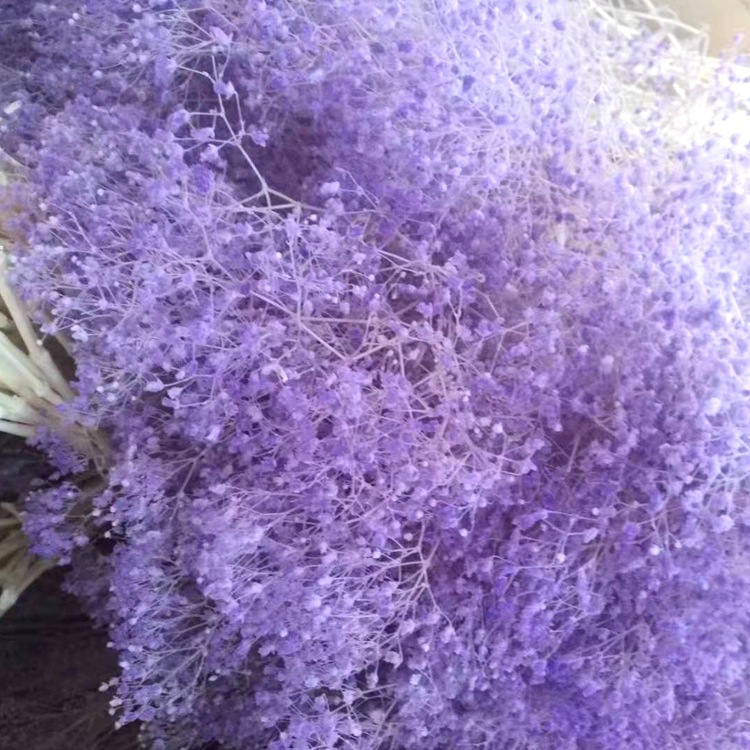 微信图片_20200128222434