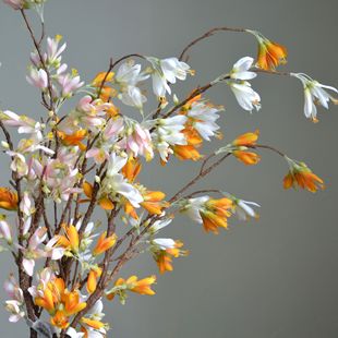 �Է�ɏ��ʽ�¹ŵ��L֦����ٻ���ɫ��ɫ��ɫҰ����đ���͏d�b�