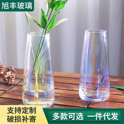 European style Simplicity electroplate Symphony Glass vase Dried flowers flower arrangement ins a living room decorate Decoration colour Hydroponics vase