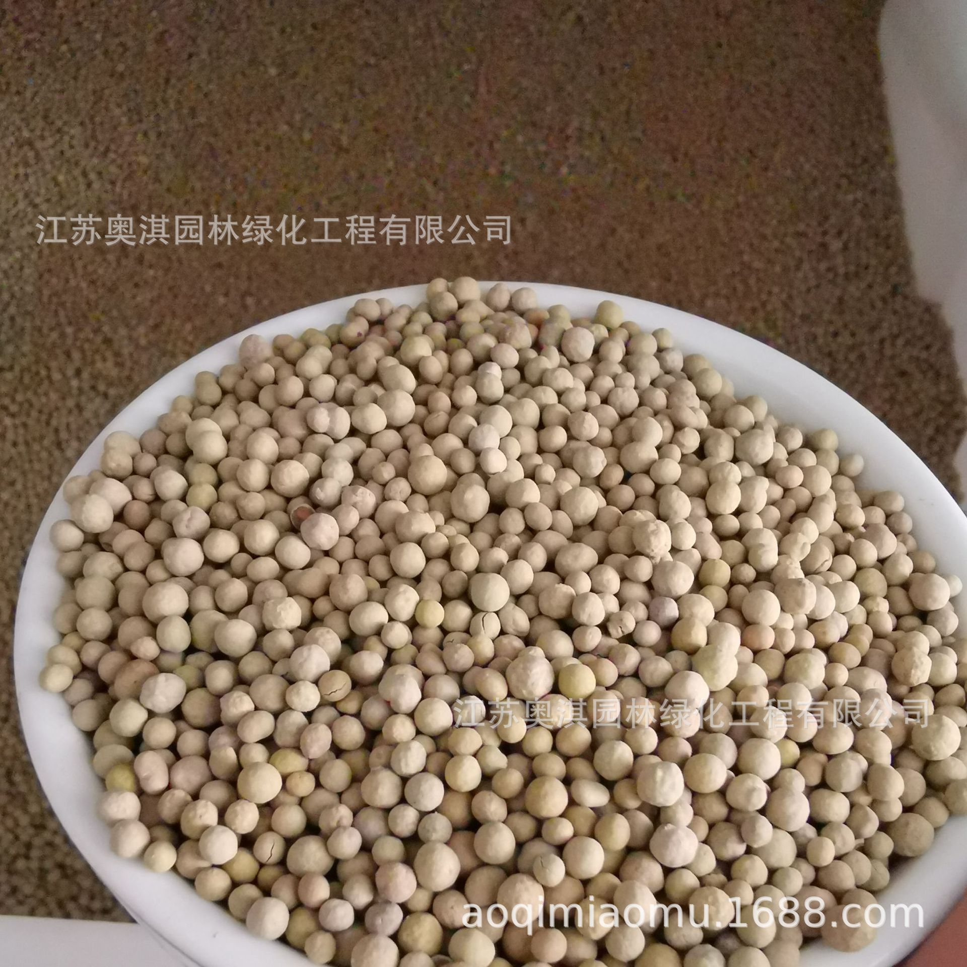 红三叶种子易种三叶草种子红花苜蓿红车轴草品质好发芽率高可试种-阿里巴巴