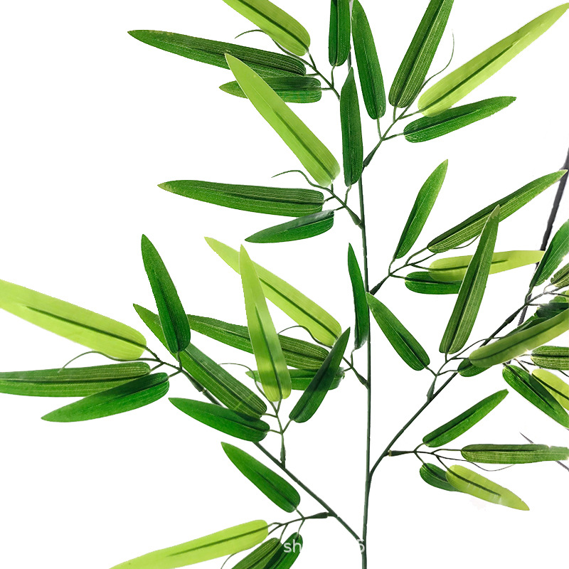 XRB-111 富贵竹叶三叉枝1.jpg