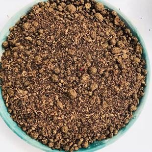 �S�ҹ���ľ���� �ЙC��ľ����ԭ�� ֲ�������  ���󃞻�