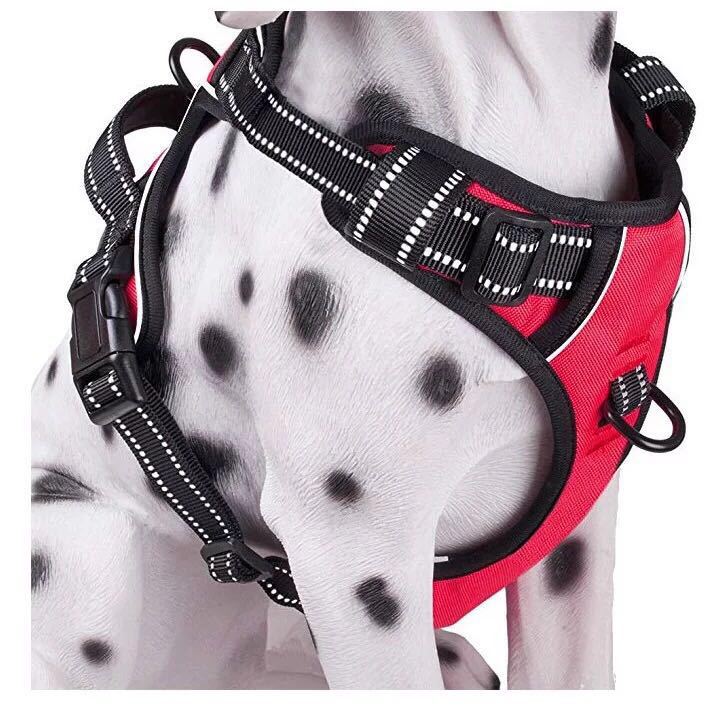 LED Dog Harness - Image 1