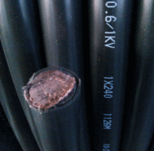 ͟ou|WDZBYJY|ou͟|WDZBYJ(F)E