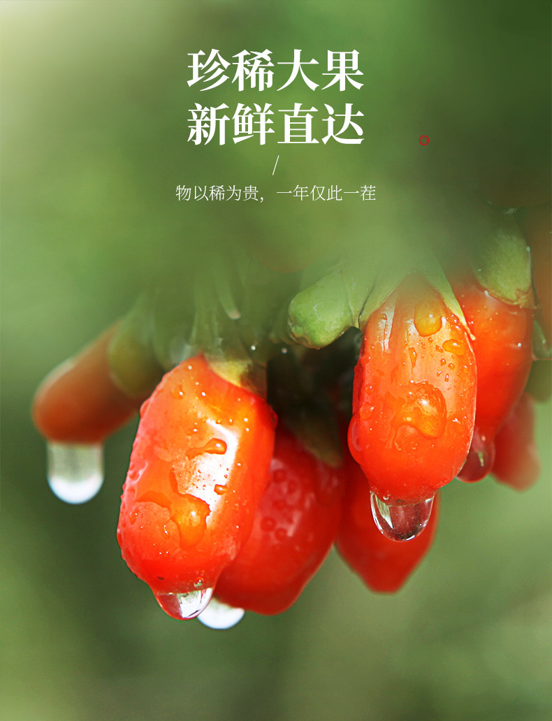 Dried Goji Berries Premium Grade Ningxia Zhongning Gou Qi Zi Ready to Eat 1kg Bulk in use