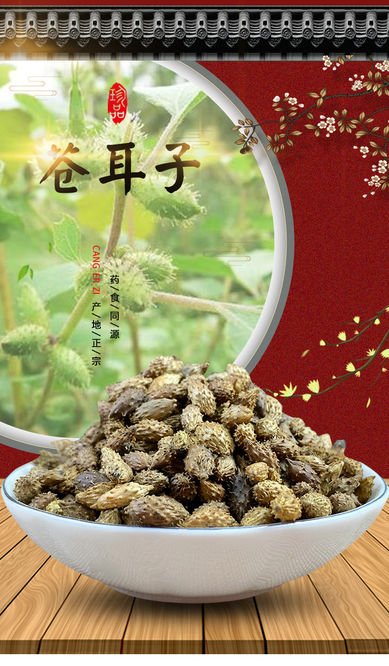 Cang Er Zi Dried Xanthium Fruit 500g Thornless Whole Herb for Decoction and Culinary Use overview