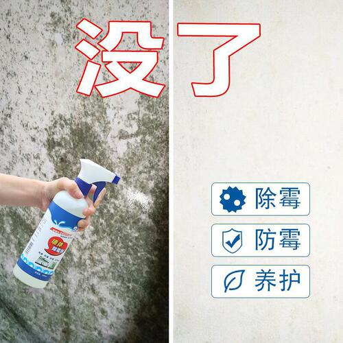 Lan Kang Bao Wall Mold Remover Wall Mold Killer Mold Eliminator Wholesale