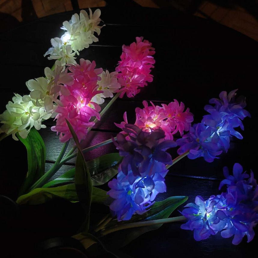 EOU%M3QA2L8DB%35E8YP2SN