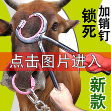 牛鼻子牵引扣牛鼻环牛鼻圈自动穿孔钳栓拴牛用夹转环器械牛鼻钳子