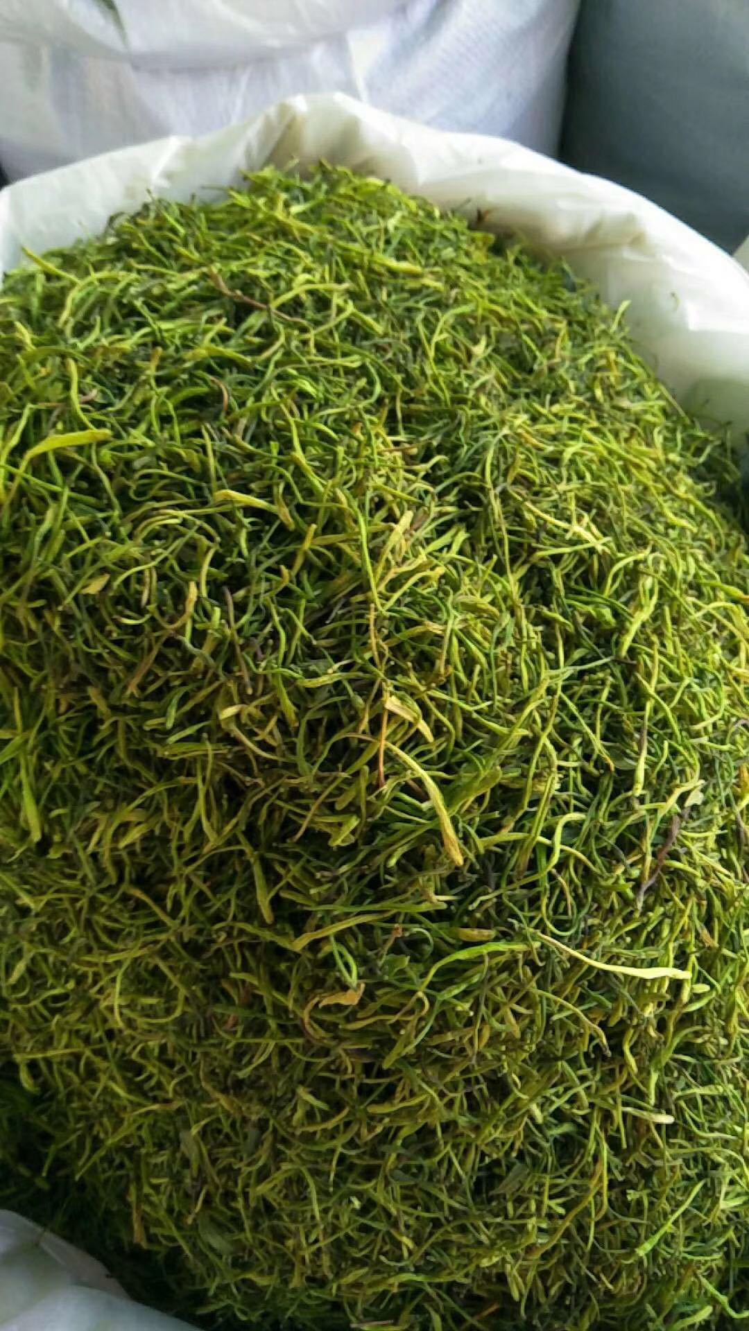Honeysuckle Flower Tea Jin Yin Hua Dried Buds 500g Natural Sun Dried Herbal Tea for Brewing preparation