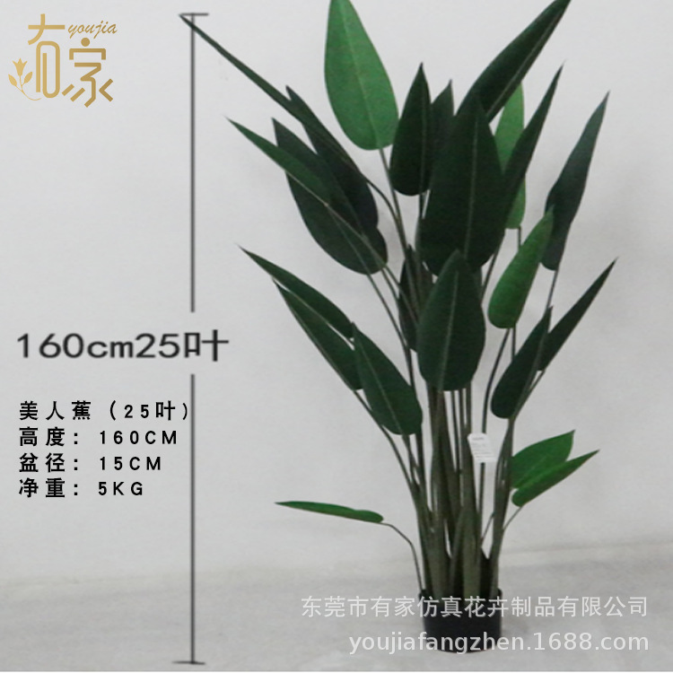 1,6 metros de múltiples hojas 25 hojas