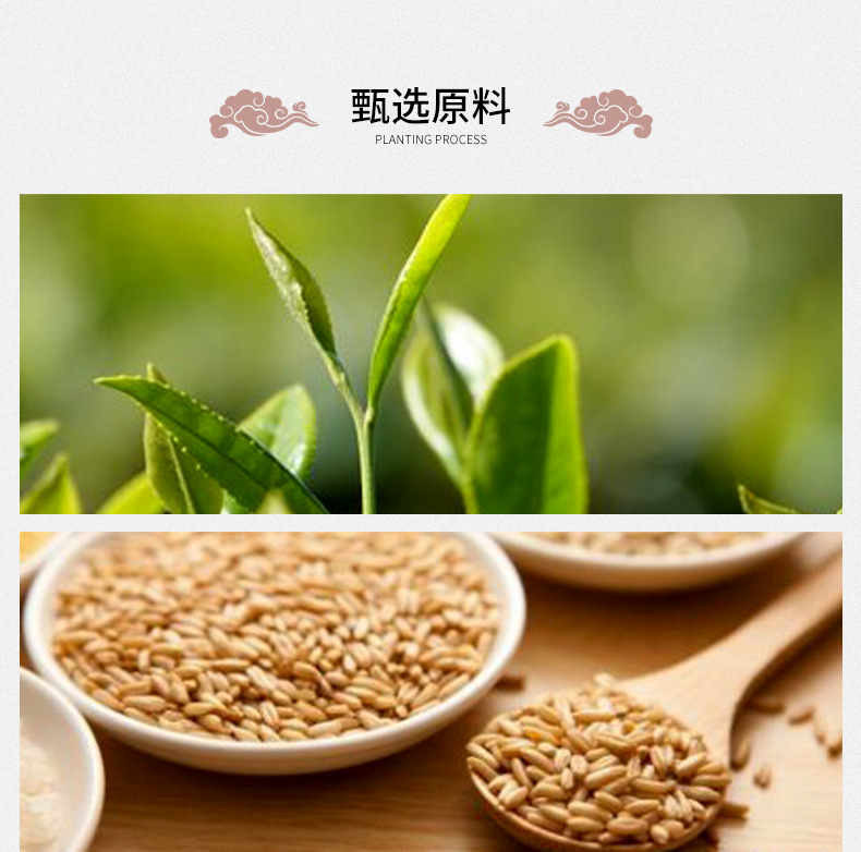 Genmaicha Brown Rice Green Tea Loose Leaf Steamed Green Tea 500g Bulk Wholesale preparation
