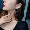 Zirconium with tassels, long fashionable earrings, flowered, 2023, city style, internet celebrity, simple and elegant design