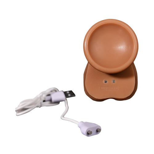 Taishan 2nd generation telescopic swing heating vibration remote control simulated penis female masturbation device sexual adult products gun machine