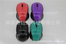 ���l�羳���OEM����OLGO�o�����