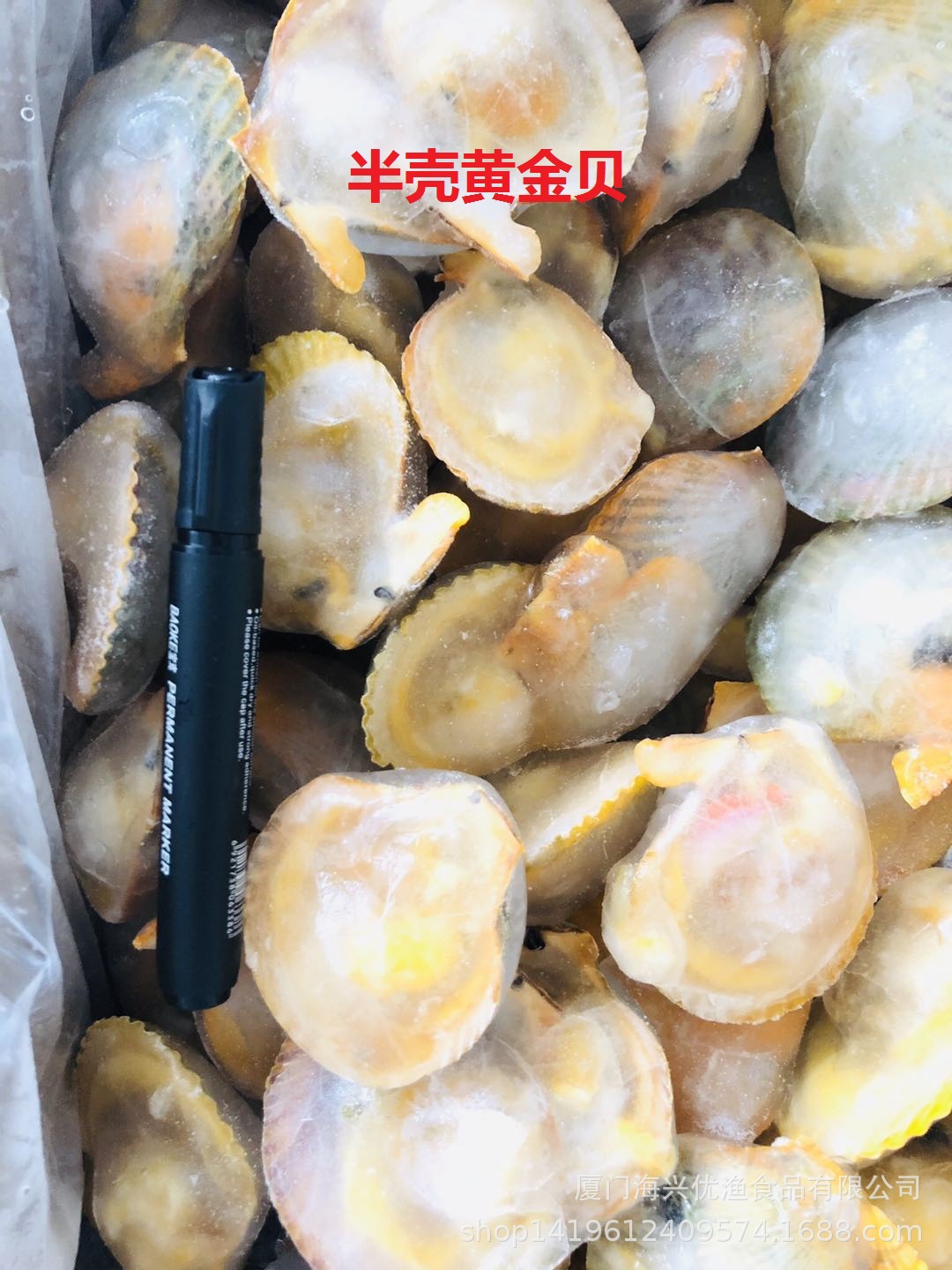 冷冻扇贝 自助餐 排挡用 扇贝 贵妃贝 半壳扇贝 火锅食材约160个-阿里巴巴