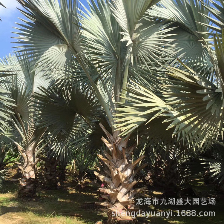 IMG_5481(20200224-233347)