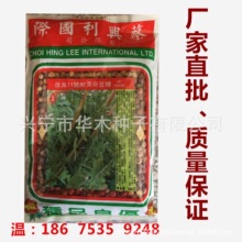 香港种子 香港种子品牌 图片 价格 香港种子批发 阿里巴巴