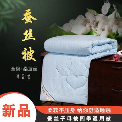 主播帶貨定制蠶絲被夏被夏涼被空調被會銷禮品被春秋冬被雙人被子