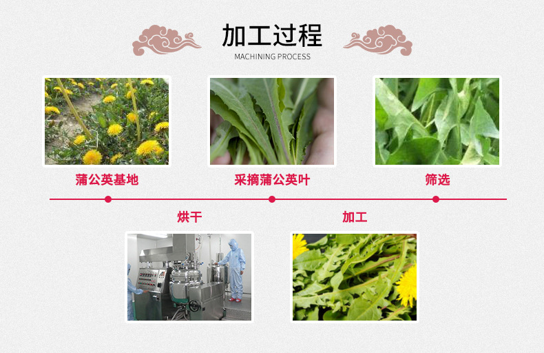 Dandelion Root Tea Bulk Loose Dried Pu Gong Ying Herbal Infusion 500g preparation