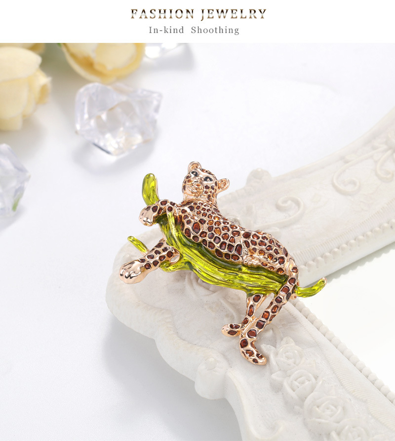 Fashion Animal Alloy Plating Unisex Brooches display picture 9