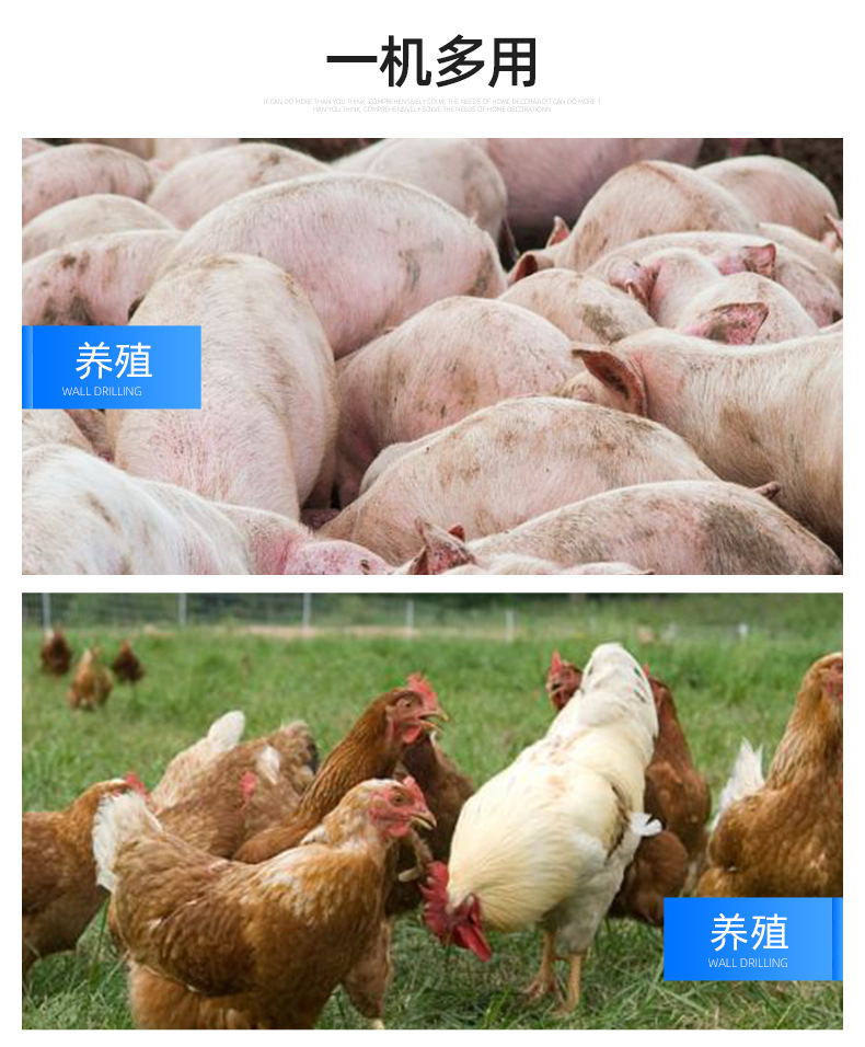 详情_08