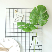 ��c�����~�ٻ����滨�S��INS�L�Gֲ�����l�b�ˇƷ�羳