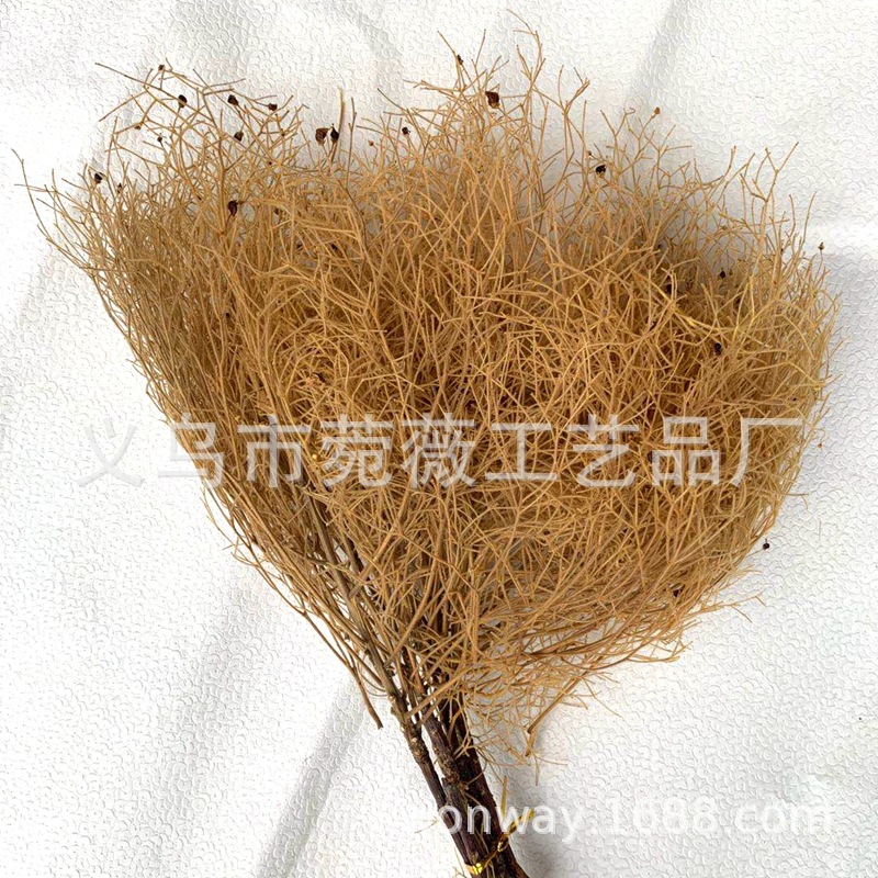 微信图片_20200527195252