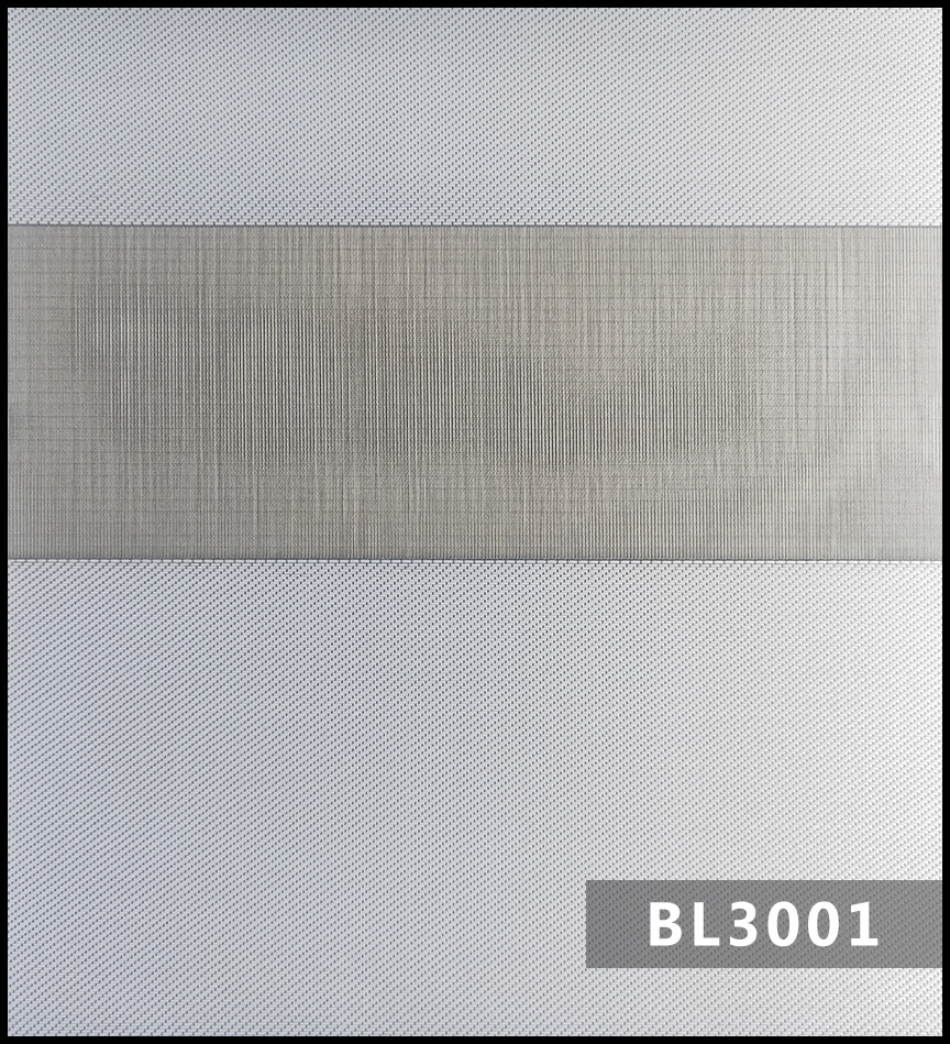 BL3001