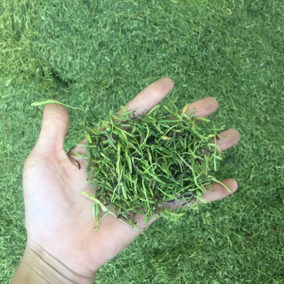 Honeysuckle Flower Tea Jin Yin Hua Dried Buds 500g Natural Sun Dried Herbal Tea for Brewing specifications