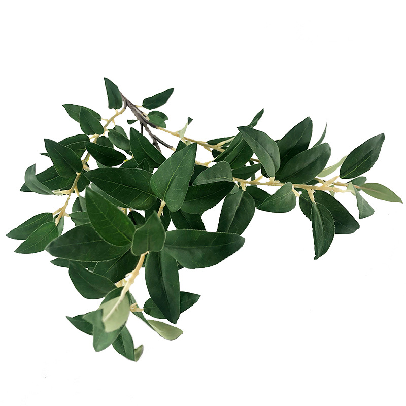 XRB-029 沙枣叶五叉枝 (5).jpg