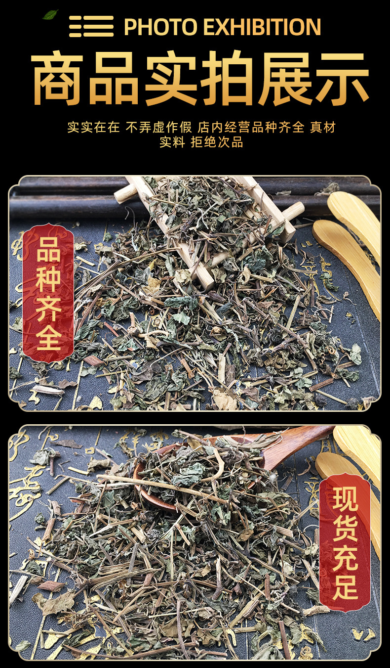 Jiaogulan Herb Gynostemma Pentaphyllum Dried Whole Herb Traditional TCM Tea Ingredient 1 Jin 500g in use