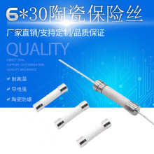 20A30A40A50A慢断型陶瓷保险管 6*32防爆保险丝 250V保险丝