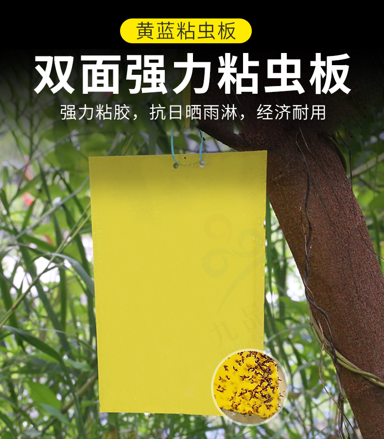 双面粘虫板详情_01.jpg