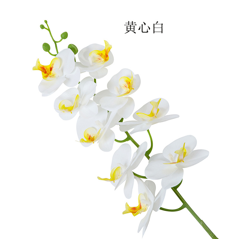 옐로우 하트 화이트