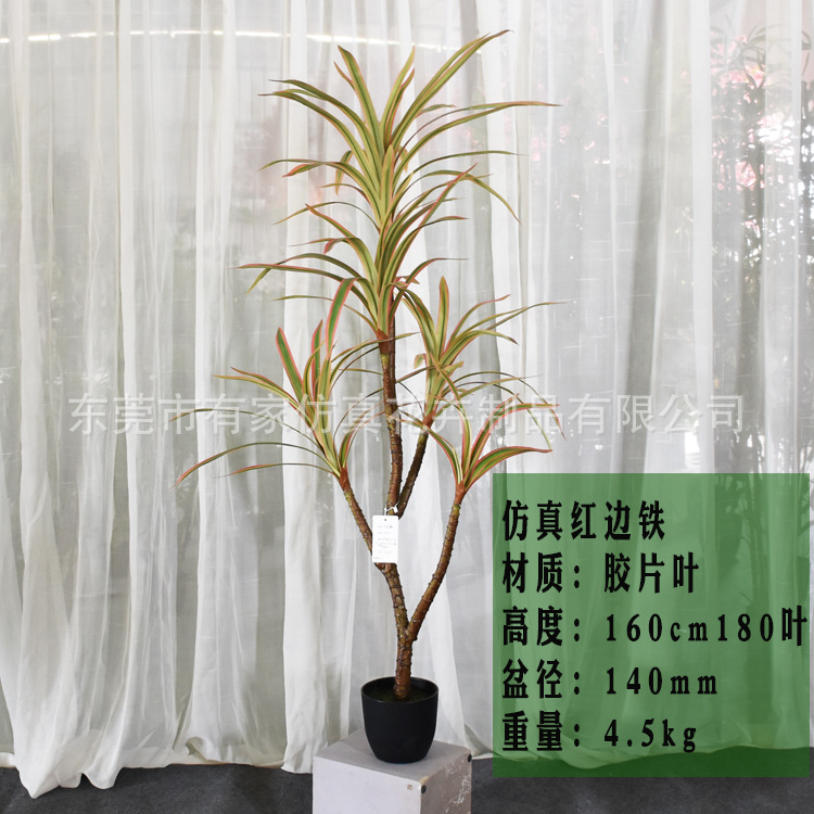 Decoración suave para árbol de hierro de sangre de dragón artificial Nórdico madera brasileña falsa decoración de maceta artificial planta tropical paisaje paisajismo