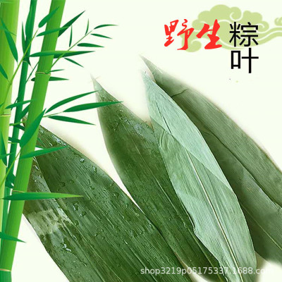 粽葉40張大粽葉烘幹大粽子葉新鮮農家自然包粽子皮竹幹粽葉免郵