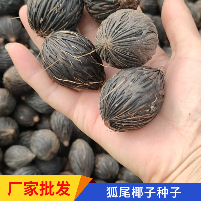 通用1688厂家直销主图图标 (1)