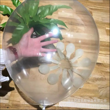 �S�����l12��͸����  �p�ӻ��y���c�����Ƥ������ ħ�g������